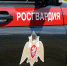 Кировские росгвардейцы пресекли драку в магазине - Росгвардия
