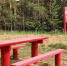 В лесах Нижегородской области оборудовано более трех тысяч мест отдыха для обеспечения пожарной безопасности - Газета Лукояновская правда