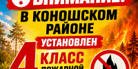 ВНИМАНИЕ! В КОНОШСКОМ РАЙОНЕ УСТАНОВЛЕН 4 КЛАСС ПОЖАРНОЙ ОПАСНОСТИ - Сетевое издание Коноша29
