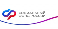 234 самозанятых в Ростовской области с начала года сделали отчисления на больничные - Ремонтненский район