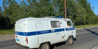 В Карелии наивная девочка-подросток стала преступницей, пытаясь заработать первые деньги - Gubdaily.Ru