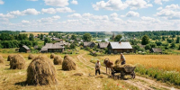 Пожарная безопасность при хранении сена: главные правила - Нурлат-⁠информ