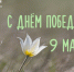 9 МАЯ. День, который отзывается в каждом сердце. - Заповедники Оренбуржья