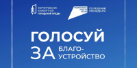 Осталось 2 дня до конца голосования за благоустройство - Мэрия города