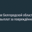 В правительстве Белгородской области подтвердили приостановку выплат за повреждённые автомобили - Fonar.Tv