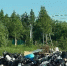 Пляж в Зеленково завалили мусором - Истра.РФ