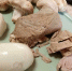 Спасаем мясо - Мурманский вестник