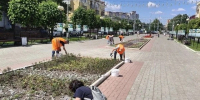 В Йошкар-Оле красят бордюры и высаживают цветы - Марийская правда
