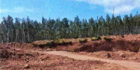 Амурчанин незаконно добывал песок и уничтожил плодородную почву - ИА Порт Амур