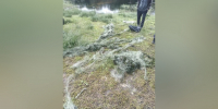Фото: Управление по охране, использованию объектов животного мира и водных биологических ресурсов Липецкой области - Липецкая ГТРК