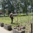 В Ленинском районе продолжаются работы по покосу травы - Администрация г. Барнаул