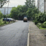 Фото: https://penza-gorod.ru/ - Penza-Post.Ru