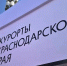 Вице-президент АТОР Сергей Ромашкин перечислил три главных козыря Сочи: отели, бензин и помощь при задержках рейсов - Sochi24.tv