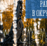 Работа в округах - Город Мурманск