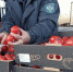 Управлением Россельхознадзора по Республике Дагестан выявлено более 110 тонн зараженной импортной продукции - Сетевое издание Дербент