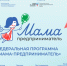 Мама — это не только забота, это ещё и большой бизнес!. - Шатровский муниципальный округ