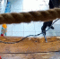 Кубанец ударил ножом в спину продавщицу магазина из-за отказа дать в долг 2 бутылки пива - Кубанские Новости