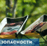 Соблюдайте правила пожарной безопасности при отдыхе на природе - Савеловский район