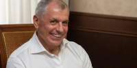 Владимир Константинов встретился с Карин Кнайсль - Государственный Совет