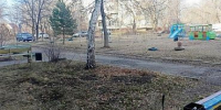 Всё по правилам! - ТОС Омска