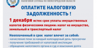 Оплата имущественных налогов и налогов на доходы физических лиц. - Борисоглебский городской округ