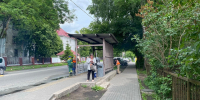 img - ЛДПР