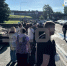 Большая очередь в Россию возникла на КПП в Эстонии перед длинными выходными - M24.Ru
