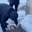 Преступление в Домбаровском районе в 2003 году, фото: прокуратура Оренбургской области - Ural56.Ru
