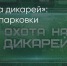 Поделитья во ВКонтакте - Братская Студия Телевидения