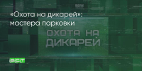 Поделитья во ВКонтакте - Братская Студия Телевидения