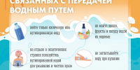 О профилактике острых кишечных инфекций в летний период - Город Мурманск
