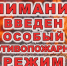 В связи с введением особого противопожарного режима в лесах Архангельской области в период с 11 июня по 17 июня запрещено посещение лесов - Пинежский муниципальный район