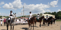 - В конно-спортивной школе Новочебоксарска состоялись муниципальные соревнования, посвященные Дню России:  конно-спортивная школа - Газета Грани