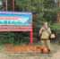 В нижегородских лесах создали свыше 3 000 мест отдыха - ИА Нижний сейчас