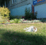 Тени городских дворов - Инфокам