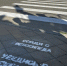 Надписи-напоминания нанесли госавтоинспекторы перед «зебрами» города - Армавирский Собеседник