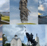 collage7photos1781105517515.jpg - Избирательная комиссия