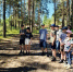 Фото предоставлено министерством природных ресурсов и ЛПК Архангельской области - Пресс-центр Правительства