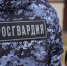 В Тамбове в праздники усилят охрану общественного порядка - OnlineTambov.Ru