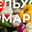 В Уфе горожан приглашают на сельхозярмарки - Башинформ