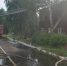 Сотрудники МЧС ликвидируют пожар в Костроме на улице Лавровской - ГТРК Кострома