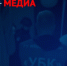 В Ленобласти задержали парня, помогавшего украинским мошенникам - 47 новостей