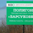 Барсуковка полигон.jpg - ИА Русский Запад