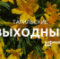 Тагильские выходные, топ 6: лето ручной работы, берёзовые картины и смех над трагизмом викторианской эпохи - Между Строк