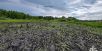 В Вологодской области ликвидировали крупное возгорание сухой травы - ProGorod35.Ru
