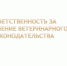 ️В Октябрьском районе выявлены нарушения ветеринарного законодательства - ГТРК