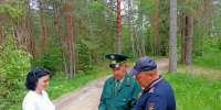 Лесная охрана в деле: в Пучежском лесничестве Ивановской области прошёл совместный профилактический рейд - Комитет по лесному хозяйству