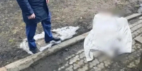 Разъяренная жительница Починок замучила до смерти подругу ножницами, черенком от лопаты и резиновым шлангом - ProGorodNN.Ru