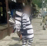 Двух навязчивых аниматоров в костюмах животных задержали в Сочи - Кубанские Новости
