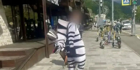 Двух навязчивых аниматоров в костюмах животных задержали в Сочи - Кубанские Новости